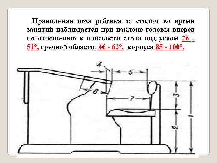 Правильная поза ребенка за столом во время занятий наблюдается при наклоне головы вперед по