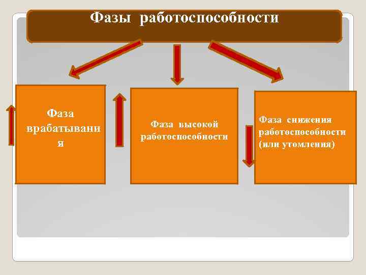 Фазы работоспособности Фаза врабатывани я Фаза высокой работоспособности Фаза снижения работоспособности (или утомления) 