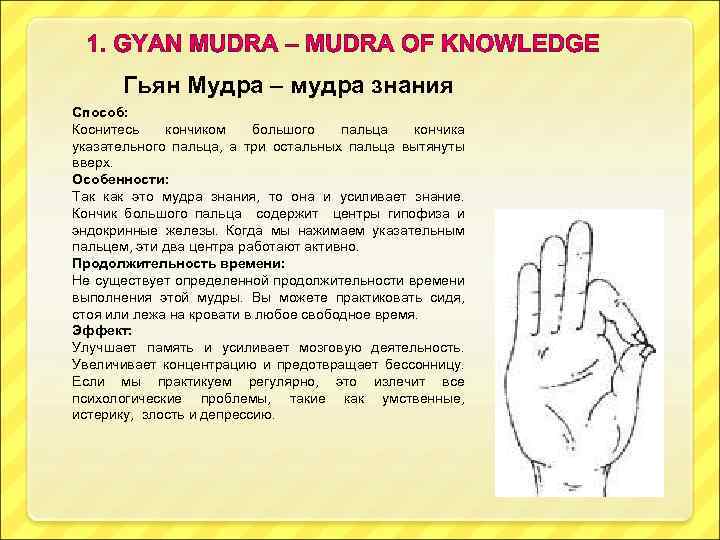 Гьян Мудра – мудра знания Способ: Коснитесь кончиком большого пальца кончика указательного пальца, а
