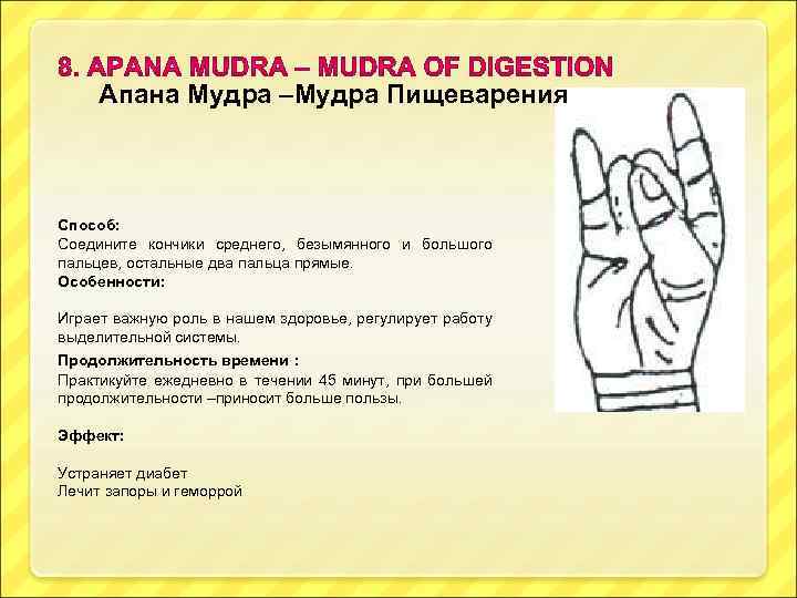 Апана Мудра –Мудра Пищеварения Способ: Соедините кончики среднего, безымянного и большого пальцев, остальные два