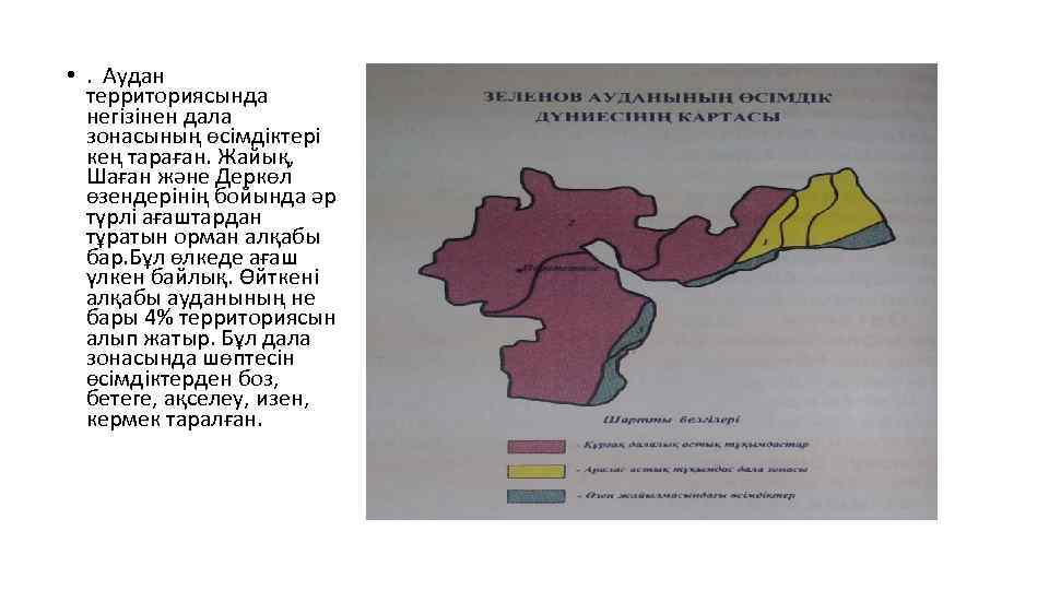  • . Аудан территориясында негізінен дала зонасының өсімдіктері кең тараған. Жайық, Шаған және