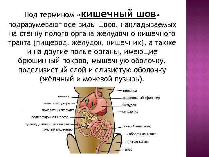 Под термином «кишечный шов» подразумевают все виды швов, накладываемых на стенку полого органа желудочно-кишечного