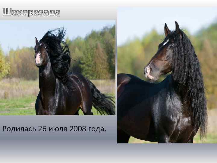 Родилась 26 июля 2008 года. 