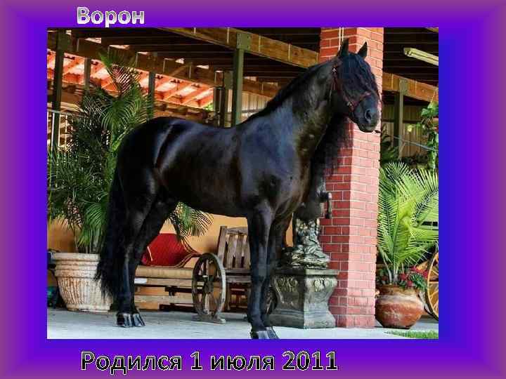 Родился 1 июля 2011 