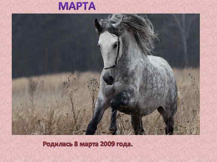Родилась 8 марта 2009 года. 