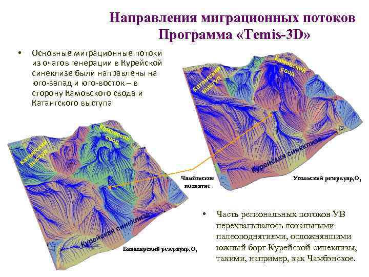 Направления миграционных потоков Программа «Temis-3 D» • Основные миграционные потоки из очагов генерации в