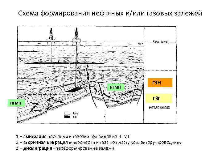 Геохимия нефти и газа. Условия формирования нефти и газа. Условия формирования залежей нефти и газа. Формирование нефти схема. Условия формирования месторождения нефти.