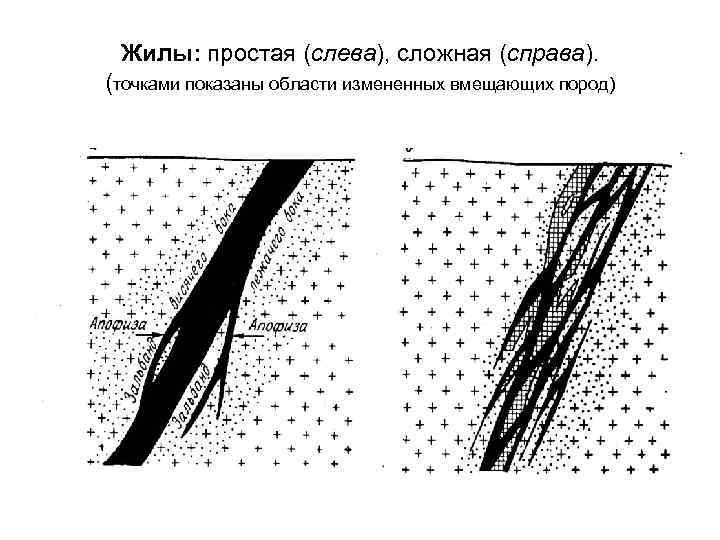 Жилы: простая (слева), сложная (справа). (точками показаны области измененных вмещающих пород) 