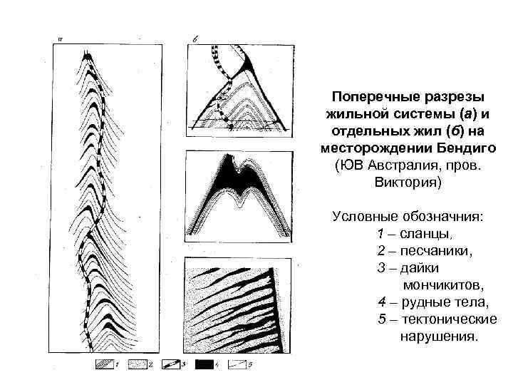Поперечные разрезы жильной системы (а) и отдельных жил (б) на месторождении Бендиго (ЮВ Австралия,