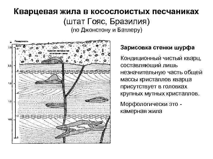 Кварцевая жила в косослоистых песчаниках (штат Гояс, Бразилия) (по Джонстону и Батлеру) Зарисовка стенки