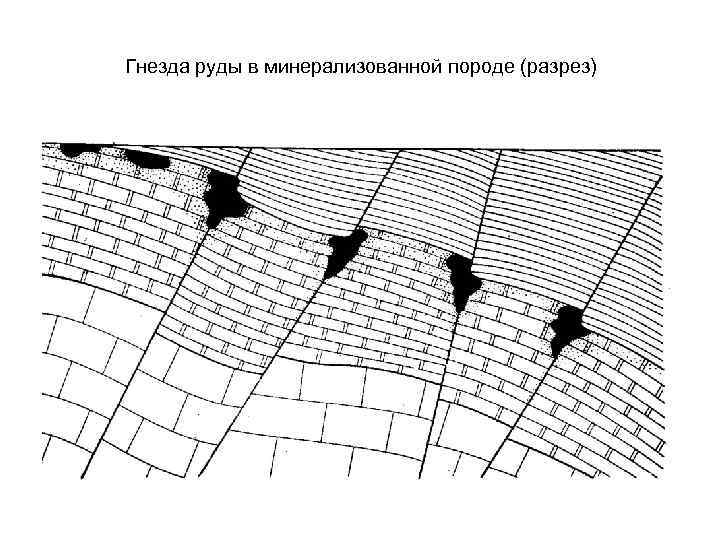 Гнезда руды в минерализованной породе (разрез) 