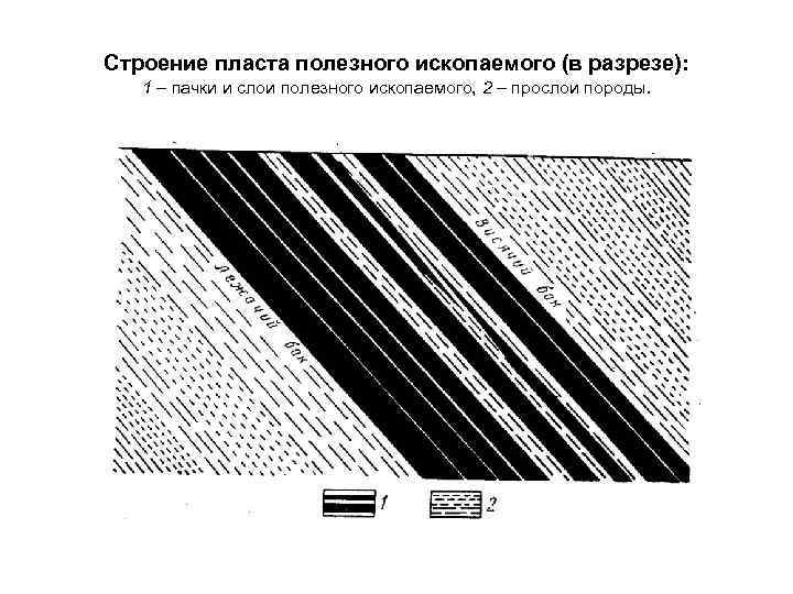 Строение пласта полезного ископаемого (в разрезе): 1 – пачки и слои полезного ископаемого, 2