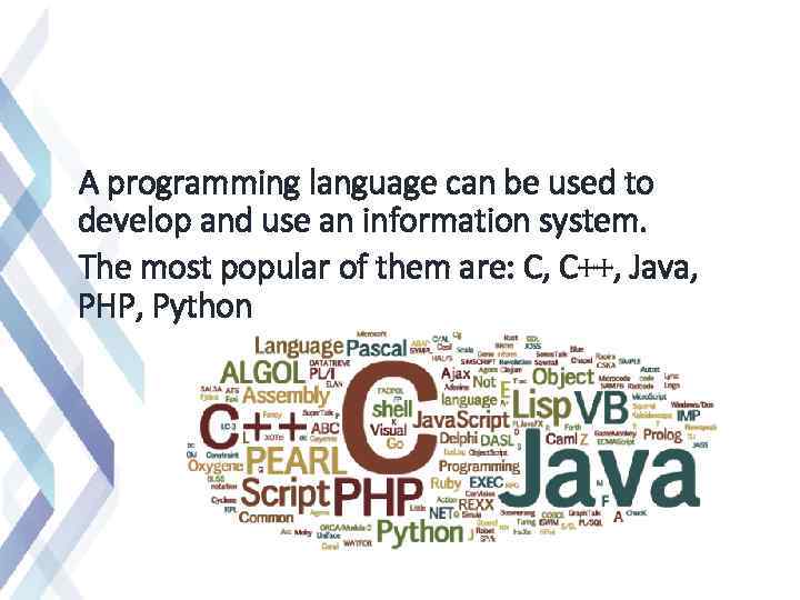 A programming language can be used to develop and use an information system. The
