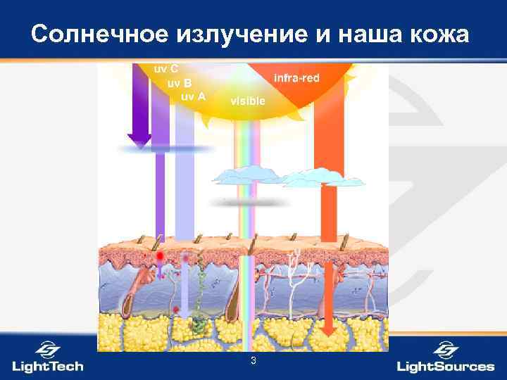 Солнечное излучение и наша кожа 3 