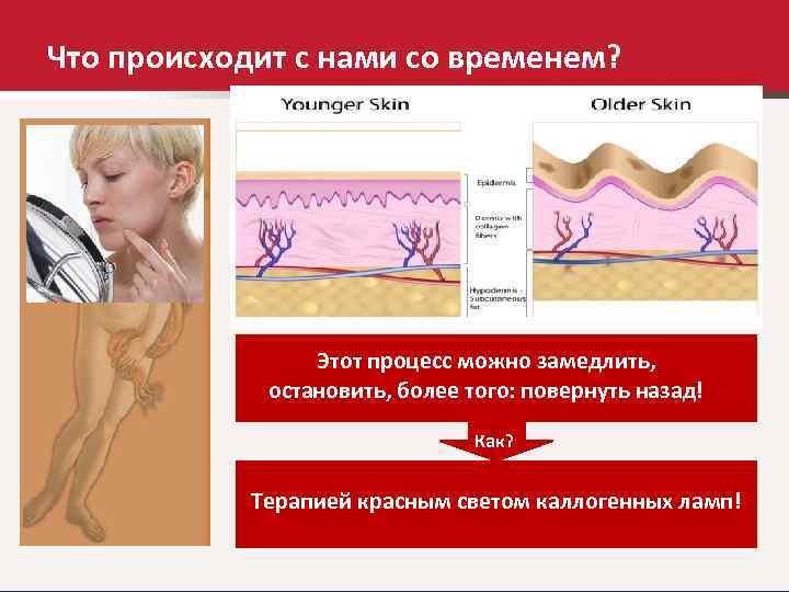 Что происходит с нами со временем? Уже после 25 лет жизни происходит замедление обмена