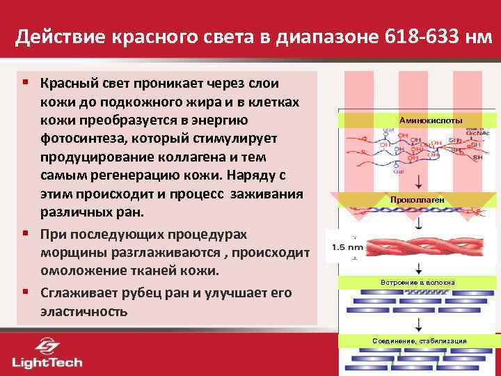 Действие красного света в диапазоне 618 -633 нм § Красный свет проникает через слои