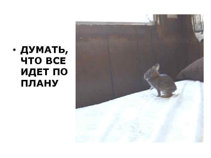  • ДУМАТЬ, ЧТО ВСЕ ИДЕТ ПО ПЛАНУ 