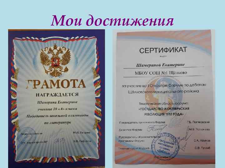 Мои достижения 