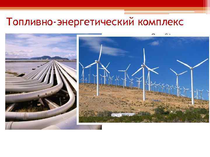 Топливно-энергетический комплекс • В 2004 году страна импортировала 78, 9 % потреблённых энергоносителей. Импорт