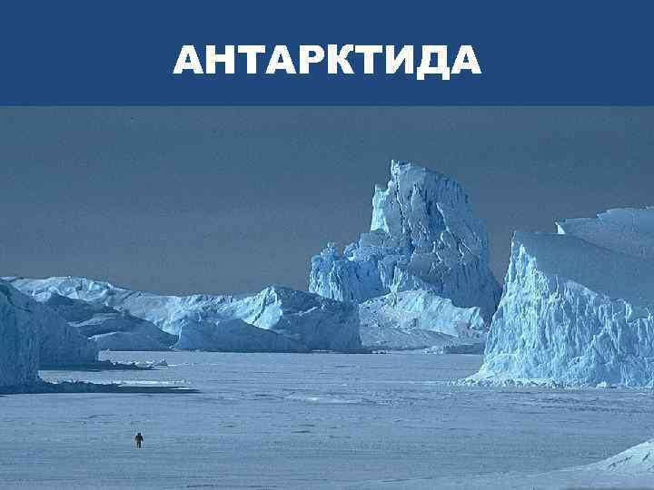 АНТАРКТИДА 