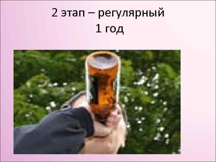 2 этап – регулярный 1 год 