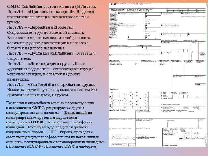 Накладная смгс образец заполнения в электронном виде