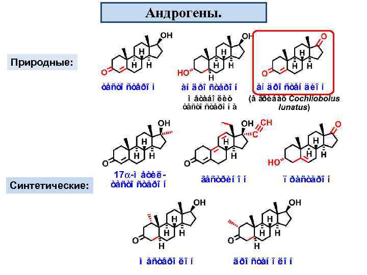 Андрогены. Природные: Синтетические: 