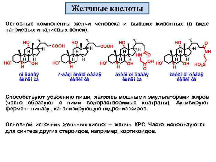 Желчные кислоты Основные компоненты желчи человека и высших животных (в виде натриевых и калиевых