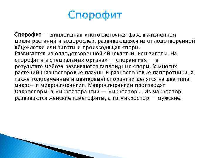 Спорофит — диплоидная многоклеточная фаза в жизненном цикле растений и водорослей, развивающаяся из оплодотворенной