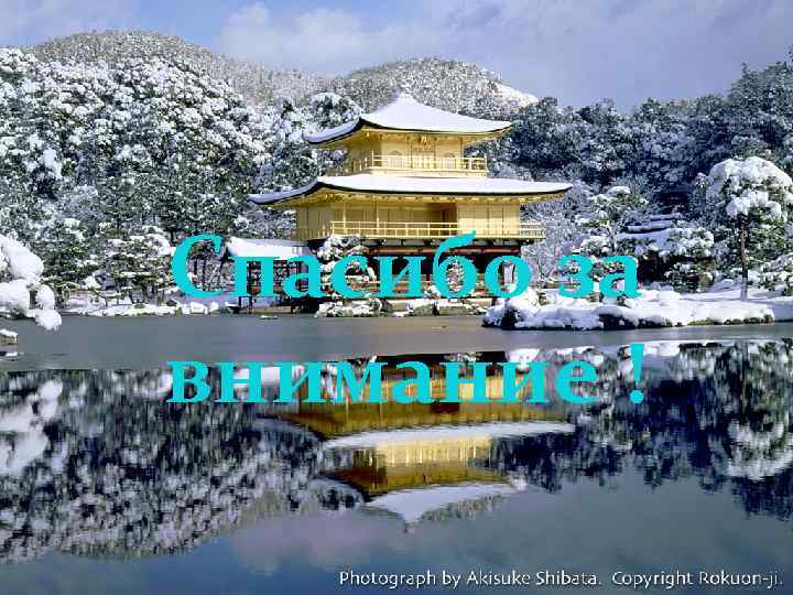 Спасибо за внимание ! 