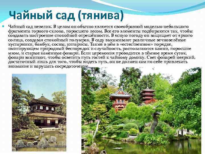 Чайный сад (тянива) Чайный сад невелик. В целом он обычно является своеобразной моделью небольшого