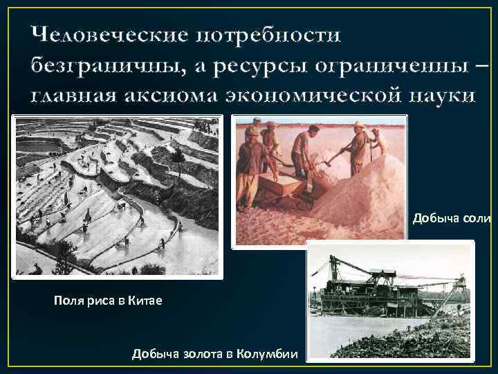 Человеческие потребности безграничны, а ресурсы ограниченны – главная аксиома экономической науки Добыча соли Поля