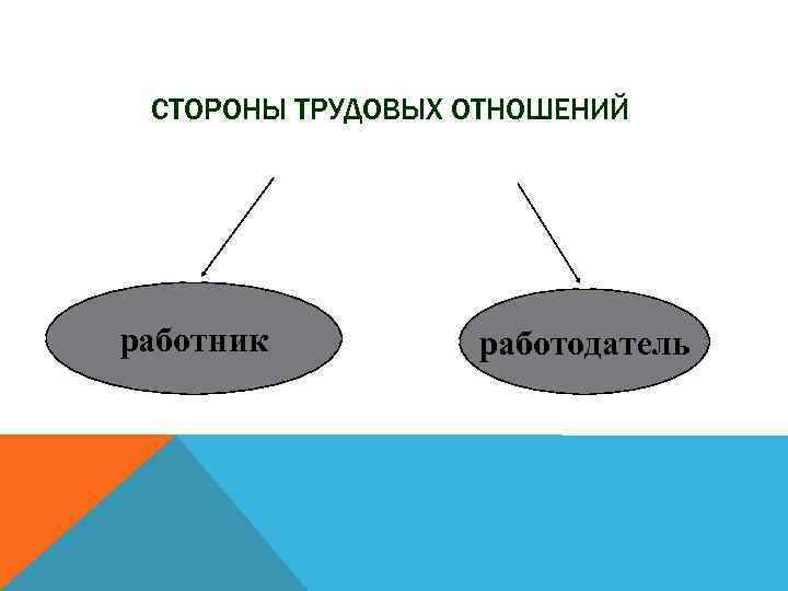 СТОРОНЫ ТРУДОВЫХ ОТНОШЕНИЙ работник работодатель 