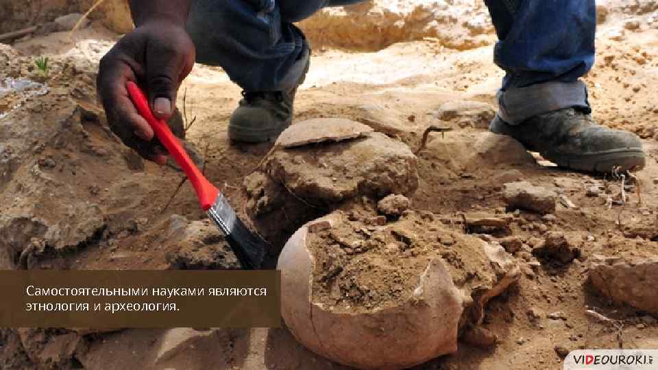 Самостоятельными науками являются этнология и археология. 