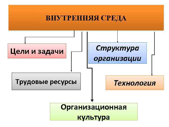 ВНУТРЕННЯЯ СРЕДА Цели и задачи Трудовые ресурсы Структура организации Технология Организационная культура 