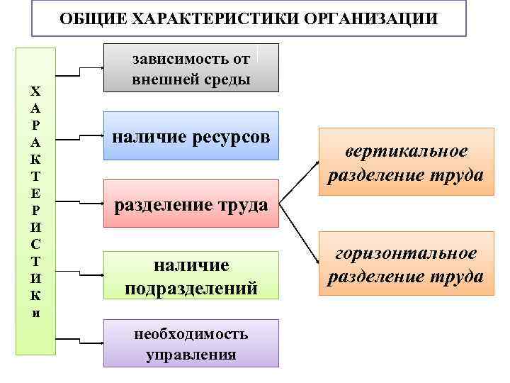 ОБЩИЕ ХАРАКТЕРИСТИКИ ОРГАНИЗАЦИИ Х А Р А К Т Е Р И С Т
