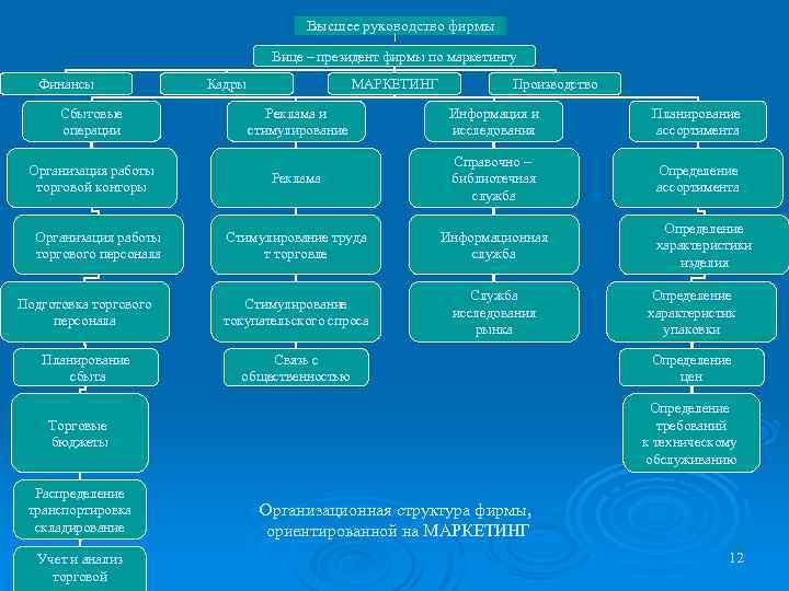 Высшее руководство фирмы Вице – президент фирмы по маркетингу Финансы Сбытовые операции Кадры МАРКЕТИНГ