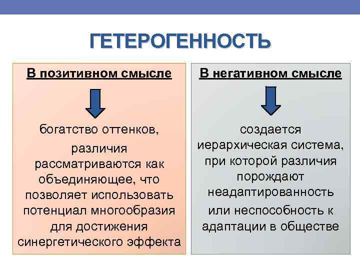 ГЕТЕРОГЕННОСТЬ В позитивном смысле В негативном смысле богатство оттенков, создается иерархическая система, различия при