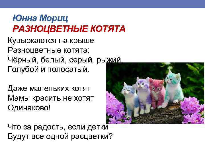 Стих про разноцветные. Юнна Мориц разноцветные котята. Стихи разноцветные котята.