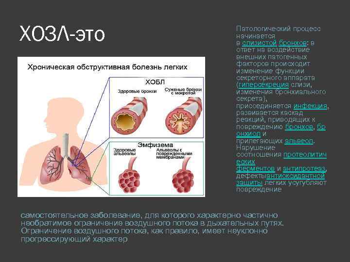 Патологические заболевания легких. Хронические обструктивные заболевания лёгких. ХОЗЛ. Хронические обструктивные заболевания легких список.