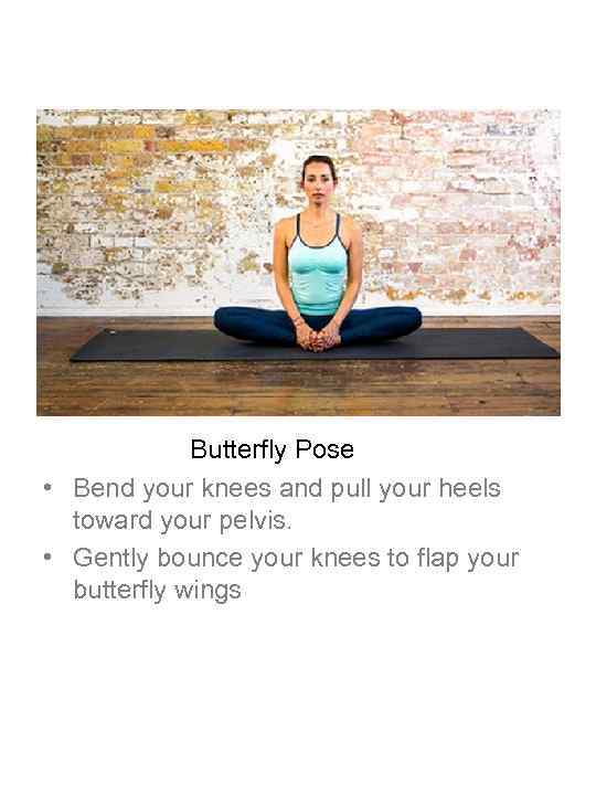 Butterfly Pose • Bend your knees and pull your heels toward your pelvis. •