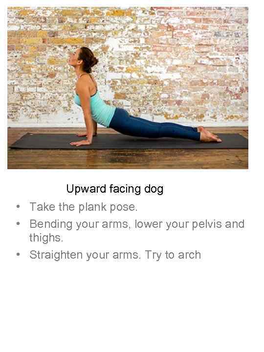 Upward facing dog • Take the plank pose. • Bending your arms, lower your