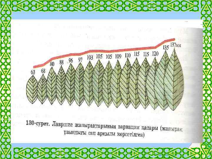 Ашық сабақтар 