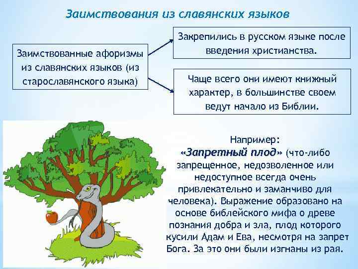 Заимствования из славянских языков Заимствованные афоризмы из славянских языков (из старославянского языка) Закрепились в