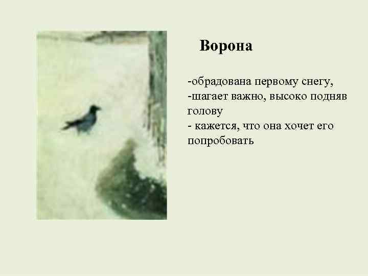 Ворона -обрадована первому снегу, -шагает важно, высоко подняв голову - кажется, что она хочет