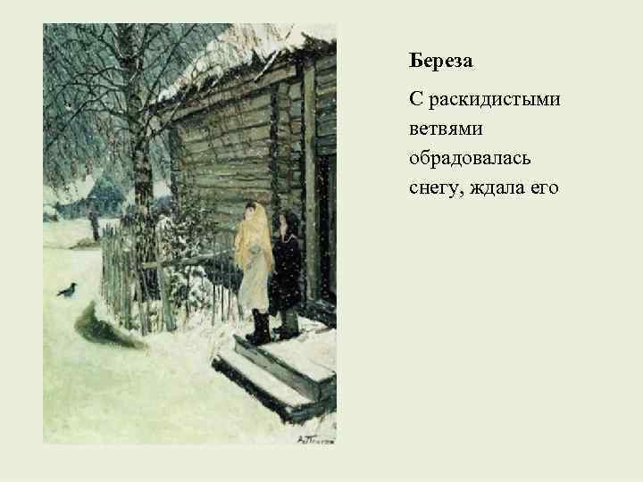 Береза С раскидистыми ветвями обрадовалась снегу, ждала его 