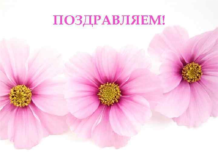 ПОЗДРАВЛЯЕМ! 