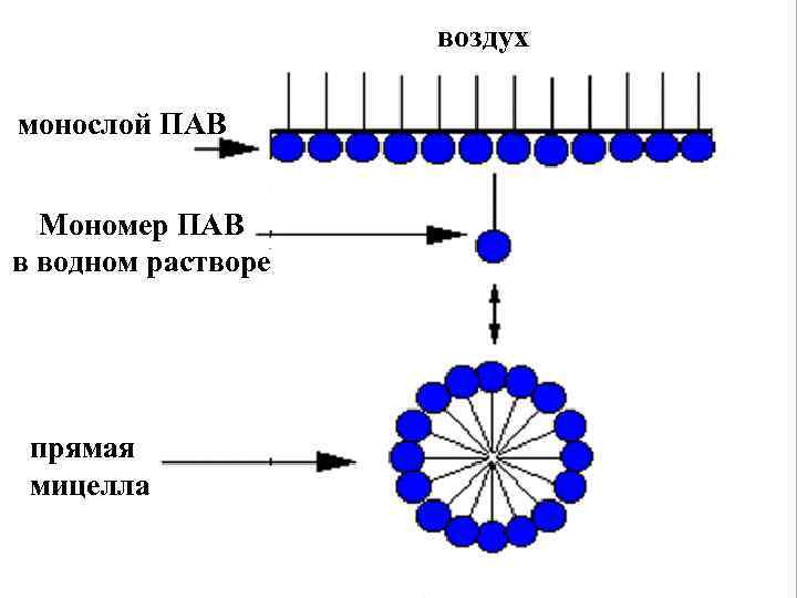 воздух монослой ПАВ Мономер ПАВ в водном растворе прямая мицелла 