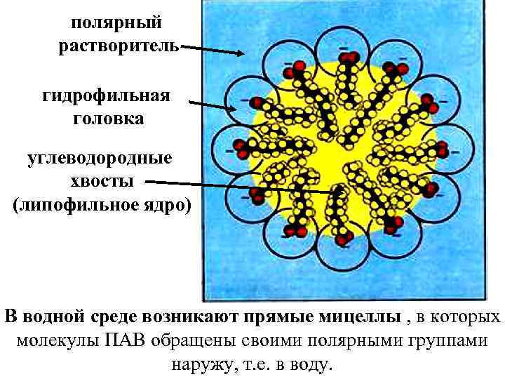 полярный растворитель гидрофильная головка углеводородные хвосты (липофильное ядро) В водной среде возникают прямые мицеллы