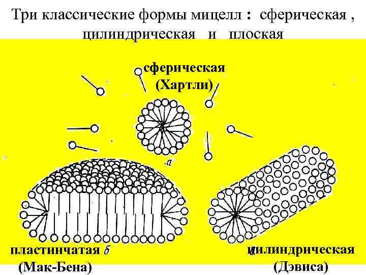 Три классические формы мицелл : сферическая , цилиндрическая и плоская сферическая (Хартли) пластинчатая (Мак-Бена)